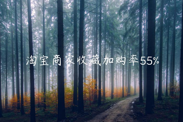 淘寶商家收藏加購率55%